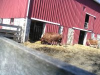 Danielle Thur. Apr. 19th 07